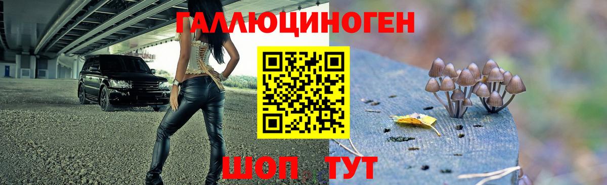 Канабис  Горячий Ключ  Наркошоп  ЭКСТАЗИ  Гашиш  Мефедрон кристаллы  Альфа ПВП СОЛЬ   Вход с VPN 