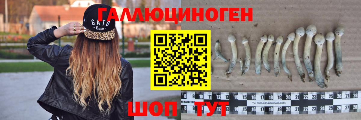 где продают наркотики  Вход с VPN  Горячий Ключ  Псилоцибиновые грибы прущие грибы  Галлюциногенные грибы мицелий 
